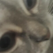 Steam Community Avatar Steam Community Avatar