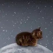 Steam Community Avatar Steam Community Avatar