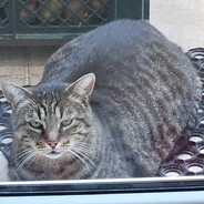 Steam Community Avatar Steam Community Avatar