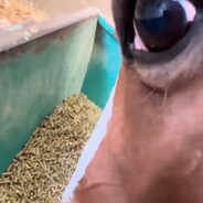 Steam Community Avatar Steam Community Avatar