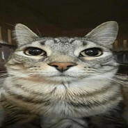 Steam Community Avatar Steam Community Avatar