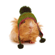 Steam Community Avatar Steam Community Avatar