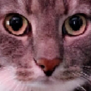 Steam Community Avatar Steam Community Avatar