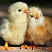 Steam Community Avatar Steam Community Avatar