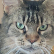 Steam Community Avatar Steam Community Avatar