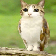 Steam Community Avatar Steam Community Avatar