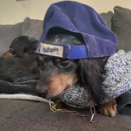 Steam Community Avatar Steam Community Avatar