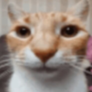 Steam Community Avatar Steam Community Avatar