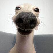 Steam Community Avatar Steam Community Avatar