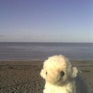 Steam Community Avatar Steam Community Avatar