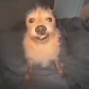 Steam Community Avatar Steam Community Avatar