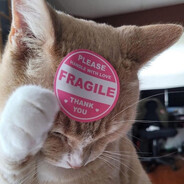 Steam Community Avatar Steam Community Avatar