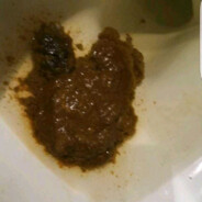 Steam Community Avatar Steam Community Avatar