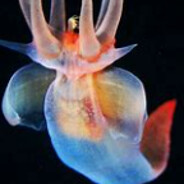 Steam Community Avatar Steam Community Avatar