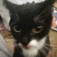 Steam Community Avatar Steam Community Avatar