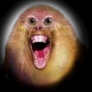 Steam Community Avatar Steam Community Avatar