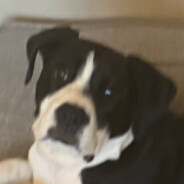 Steam Community Avatar Steam Community Avatar