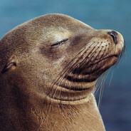 Steam Community Avatar Steam Community Avatar