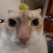 Steam Community Avatar Steam Community Avatar