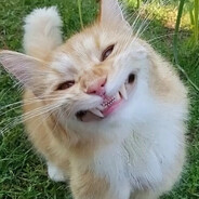 Steam Community Avatar Steam Community Avatar