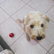 Steam Community Avatar Steam Community Avatar