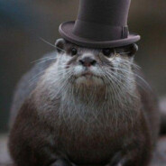 Steam Community Avatar Steam Community Avatar