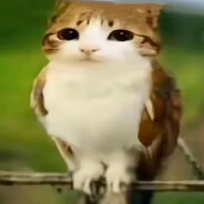 Steam Community Avatar Steam Community Avatar