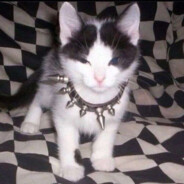 Steam Community Avatar Steam Community Avatar