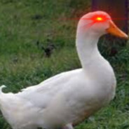 Steam Community Avatar Steam Community Avatar