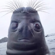 Steam Community Avatar Steam Community Avatar