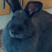 Steam Community Avatar Steam Community Avatar