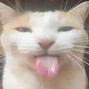 Steam Community Avatar Steam Community Avatar