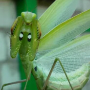 Steam Community Avatar Steam Community Avatar