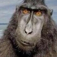 Steam Community Avatar Steam Community Avatar