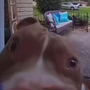 Steam Community Avatar Steam Community Avatar