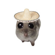 Steam Community Avatar Steam Community Avatar