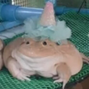 Steam Community Avatar Steam Community Avatar