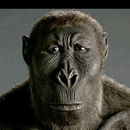 Steam Community Avatar Steam Community Avatar