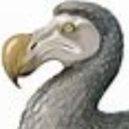 Steam Community Avatar Steam Community Avatar