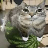 Steam Community Avatar Steam Community Avatar