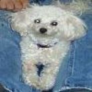 Steam Community Avatar Steam Community Avatar