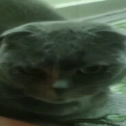 Steam Community Avatar Steam Community Avatar