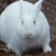 Steam Community Avatar Steam Community Avatar