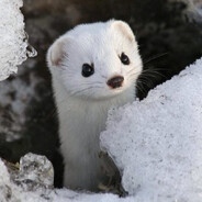 Steam Community Avatar Steam Community Avatar