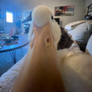 Steam Community Avatar Steam Community Avatar