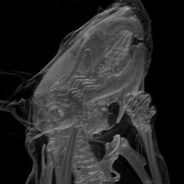 Steam Community Avatar Steam Community Avatar