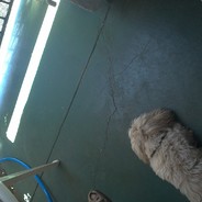 Steam Community Avatar Steam Community Avatar