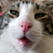 Steam Community Avatar Steam Community Avatar