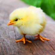 Steam Community Avatar Steam Community Avatar