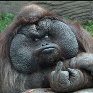 Steam Community Avatar Steam Community Avatar